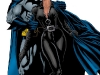 wallpaper-selina-batman-catwoman