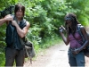 Daryl e Michonne