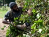 Tyreese