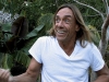 Iggy Pop in Wild Thing