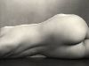 nudo3