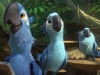 Rio 2 - Missione Amazzonia