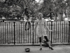 Frances Ha