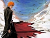 bleach1