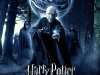 harry-potter-and-the-deathly-hallows-part-2-poster