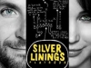 Il lato positivo - Silver linings playbook